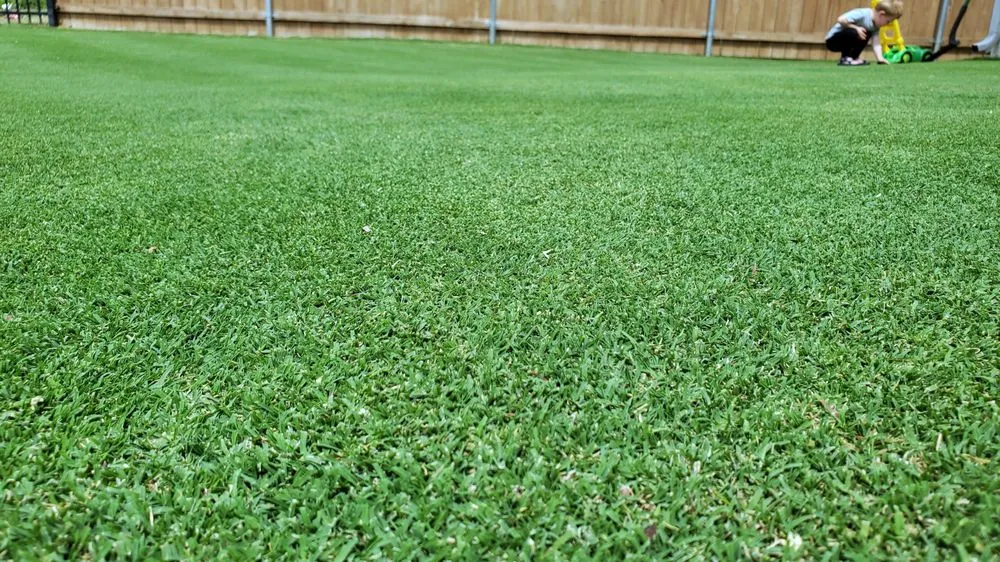 Reliable yard maintenance for outdoor upgrades across Cartersville, GA - Legacy Turf Farms