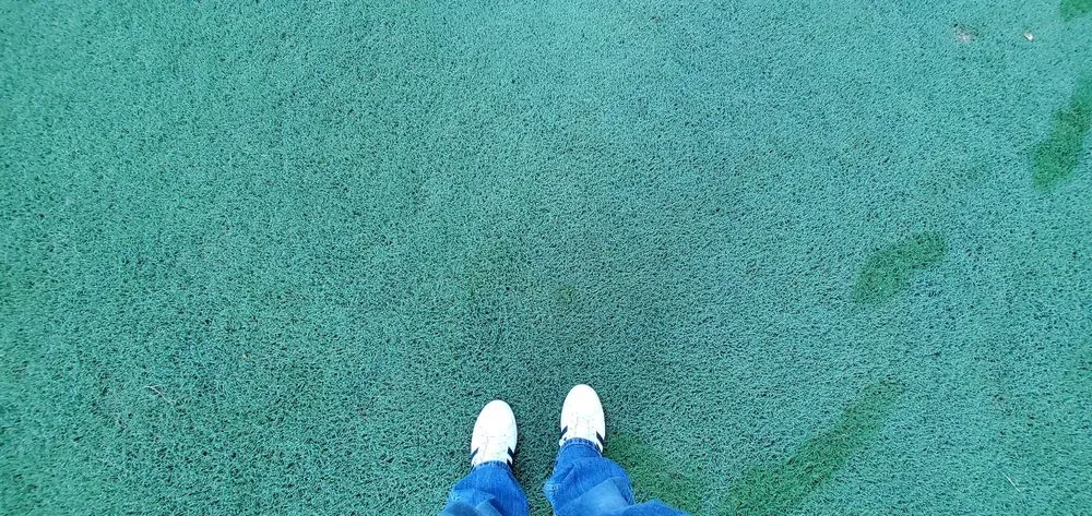 Top-rated outdoor landscaping for residential properties across Cartersville, GA - Legacy Turf Farms