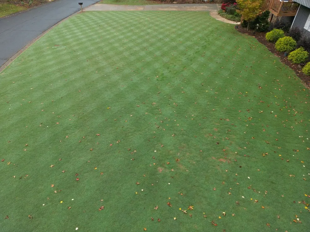 Top-rated lawn mowing service in Cartersville, GA - Legacy Turf Farms