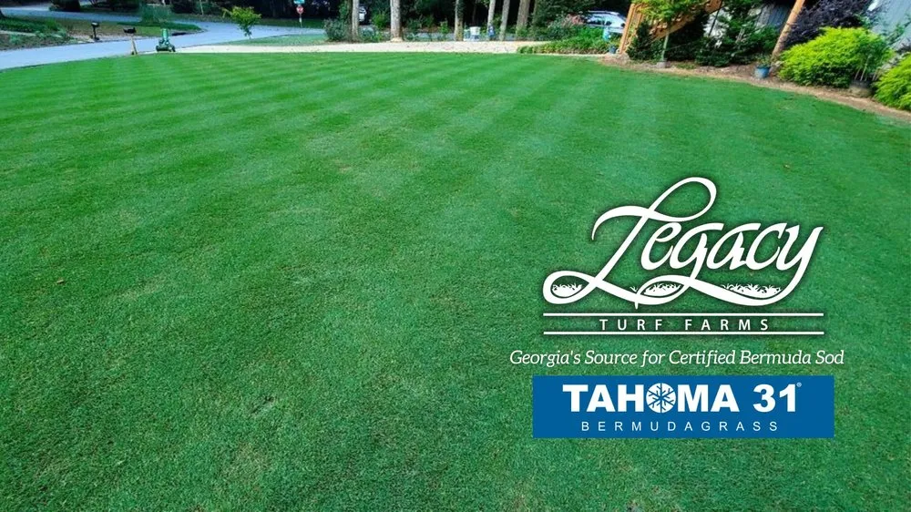 Custom lawn mowing service experts serving Cartersville, GA - Legacy Turf Farms