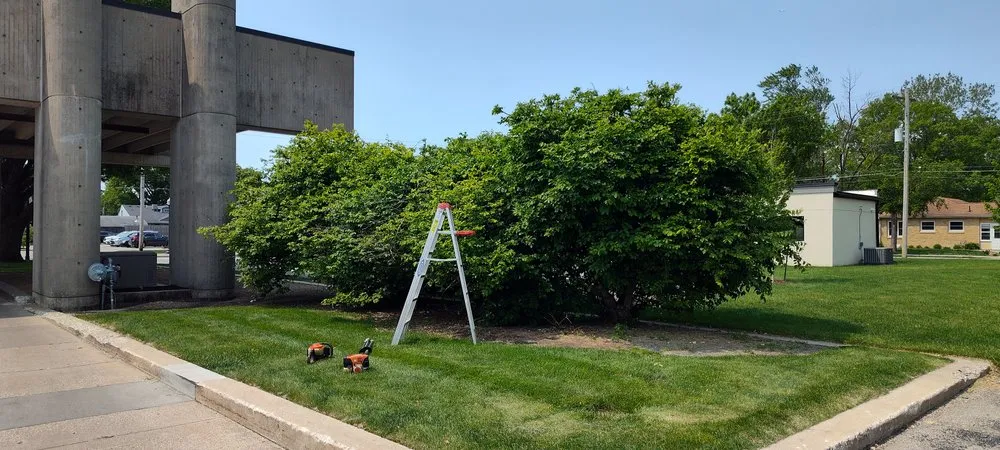 Top-rated yard cleanup service experts serving Des Moines, IA - Legacy Yard