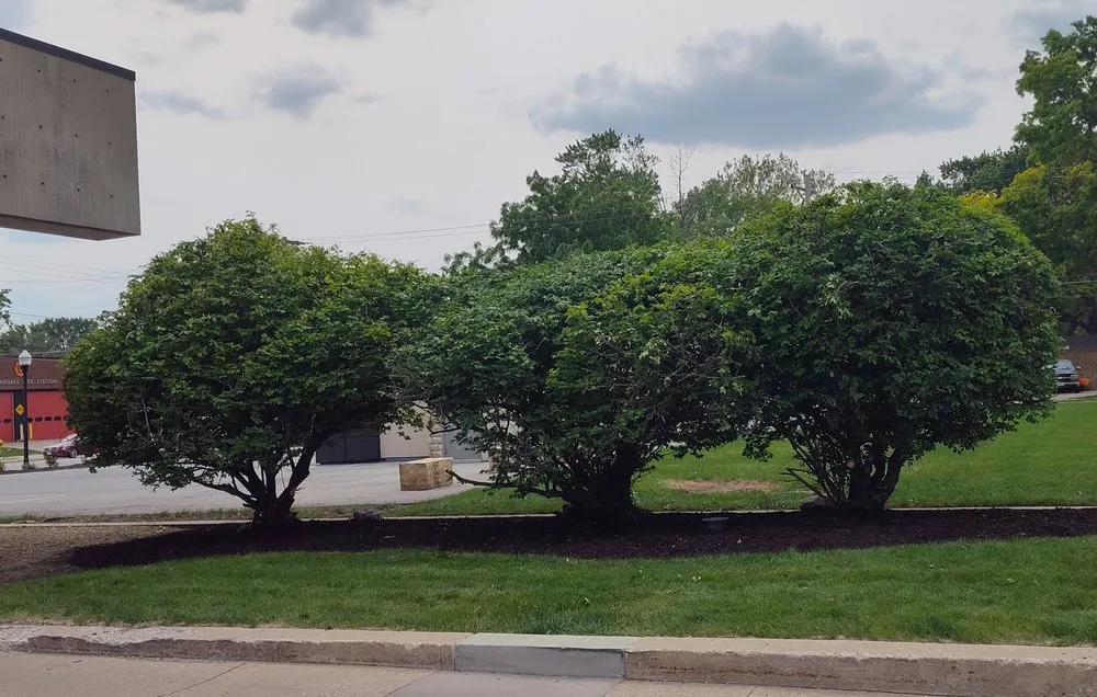 Expert residential landscaping experts serving Des Moines, IA - Legacy Yard