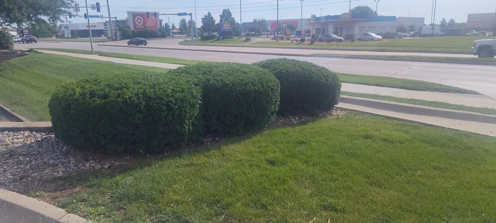 Expert yard cleanup service for year-round maintenance in Des Moines, IA by Legacy Yard