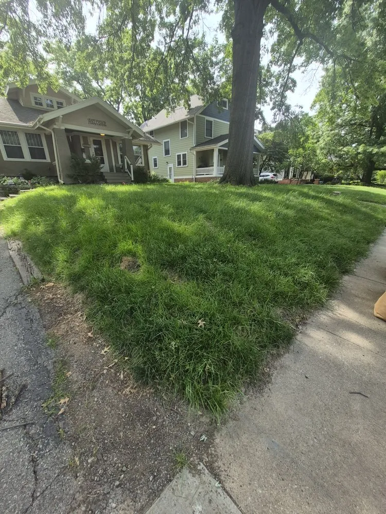 Trusted yard maintenance in Des Moines, IA - Legacy Yard