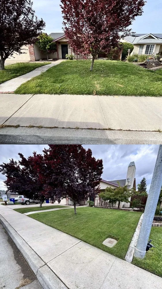 Local landscape design in Selma, CA by Legacy Yard Maintenance