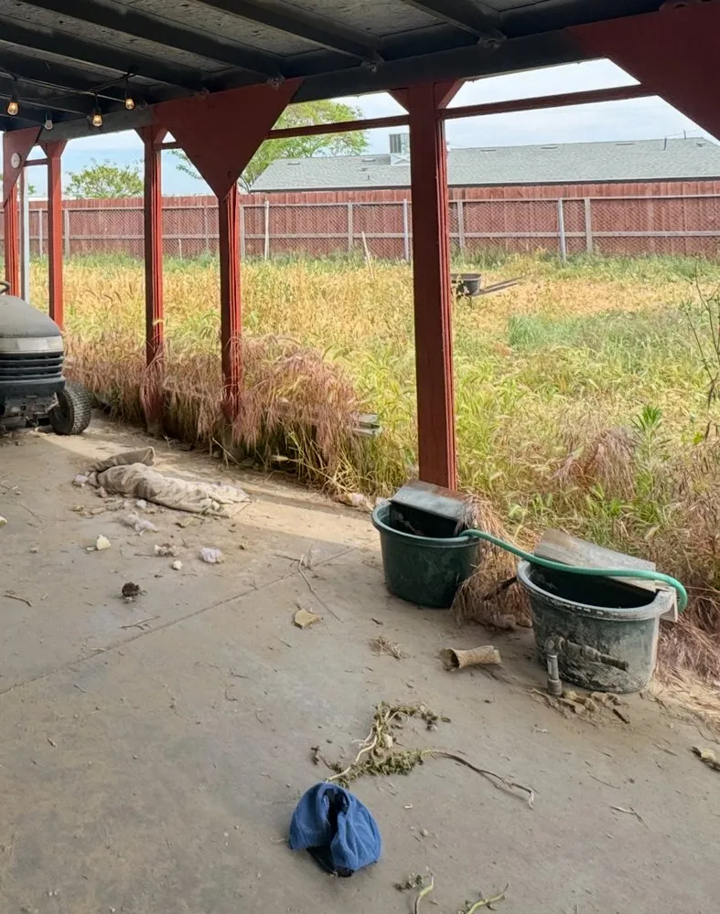 Top-rated lawn care service for homes across Selma, CA - Legacy Yard Maintenance