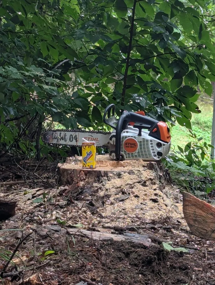 Professional residential landscaping for outdoor upgrades in Lawndale, NC by LegacyLandandTree