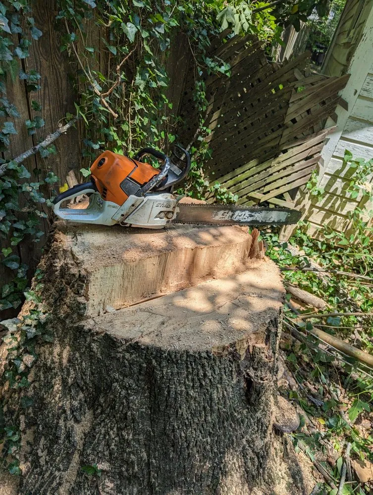 Affordable landscaping services in Lawndale, NC - LegacyLandandTree