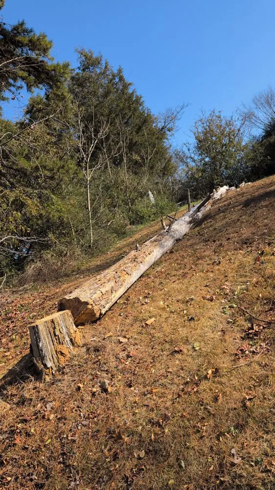 Local outdoor landscaping experts serving Lawndale, NC - LegacyLandandTree