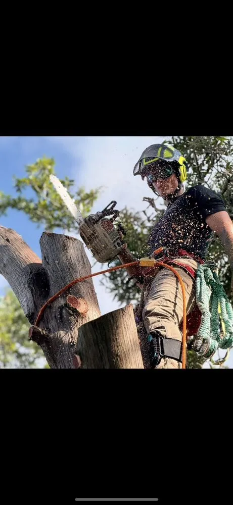 Reliable landscape design for beautiful yards in Valrico, FL by Legatum Property Professionals