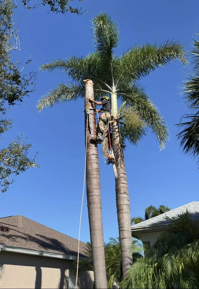 Top-rated lawn care service for beautiful yards across Valrico, FL - Legatum Property Professionals