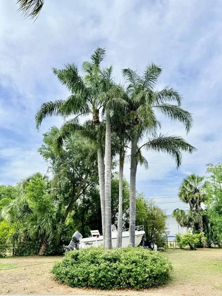 Professional yard maintenance in Valrico, FL by Legatum Property Professionals