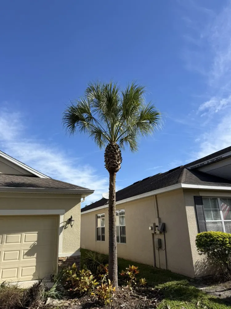 Trusted lawn mowing service experts serving Valrico, FL - Legatum Property Professionals