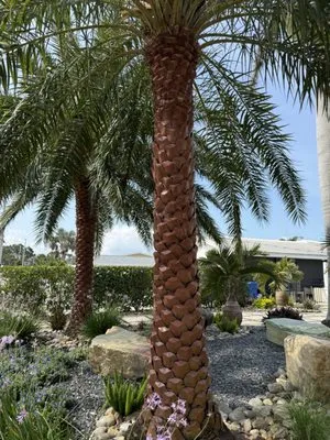 Legatum Property Professionals