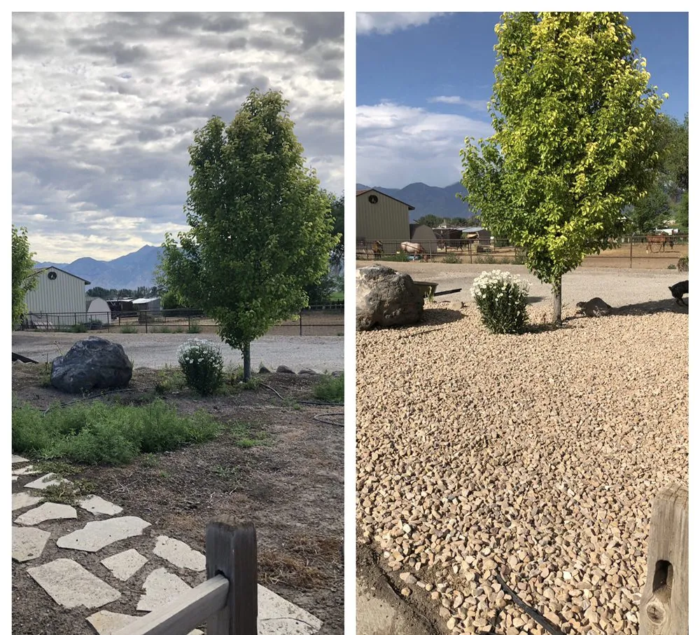 Local yard maintenance near you across Spanish Fork, UT - Legend Landscapes