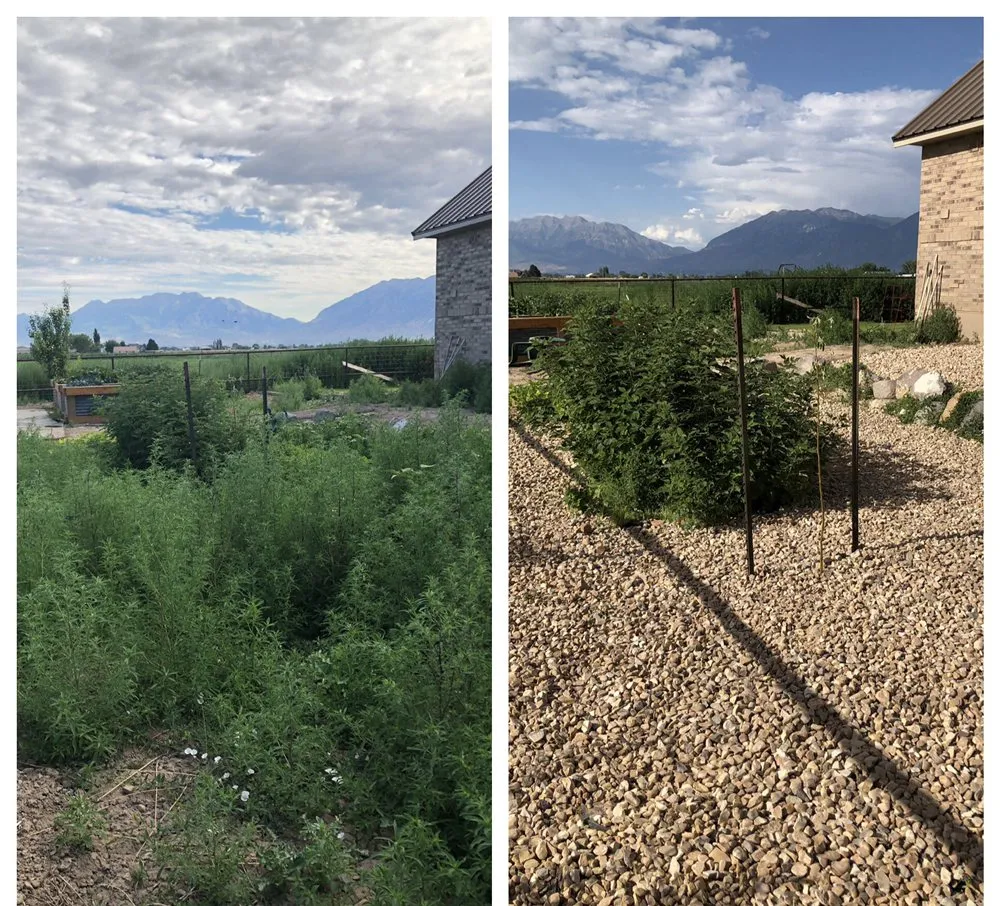 Trusted landscaping services for year-round maintenance in Spanish Fork, UT by Legend Landscapes