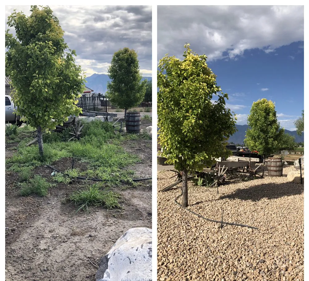 Affordable residential landscaping in Spanish Fork, UT - Legend Landscapes
