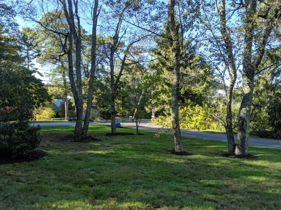 Professional yard maintenance in Taunton, MA by Legend Landscaping