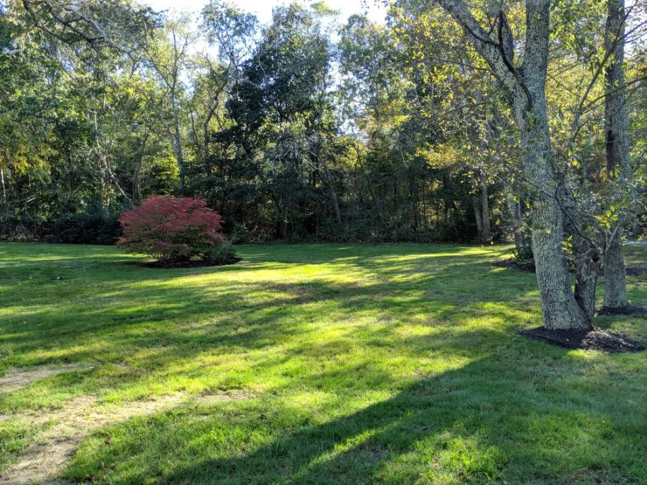 Reliable yard cleanup service with custom design across Taunton, MA - Legend Landscaping