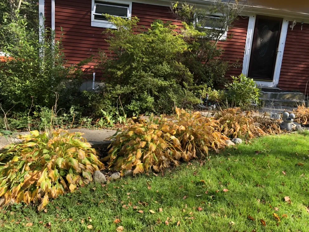 Affordable residential landscaping for outdoor upgrades in Taunton, MA by Legend Landscaping