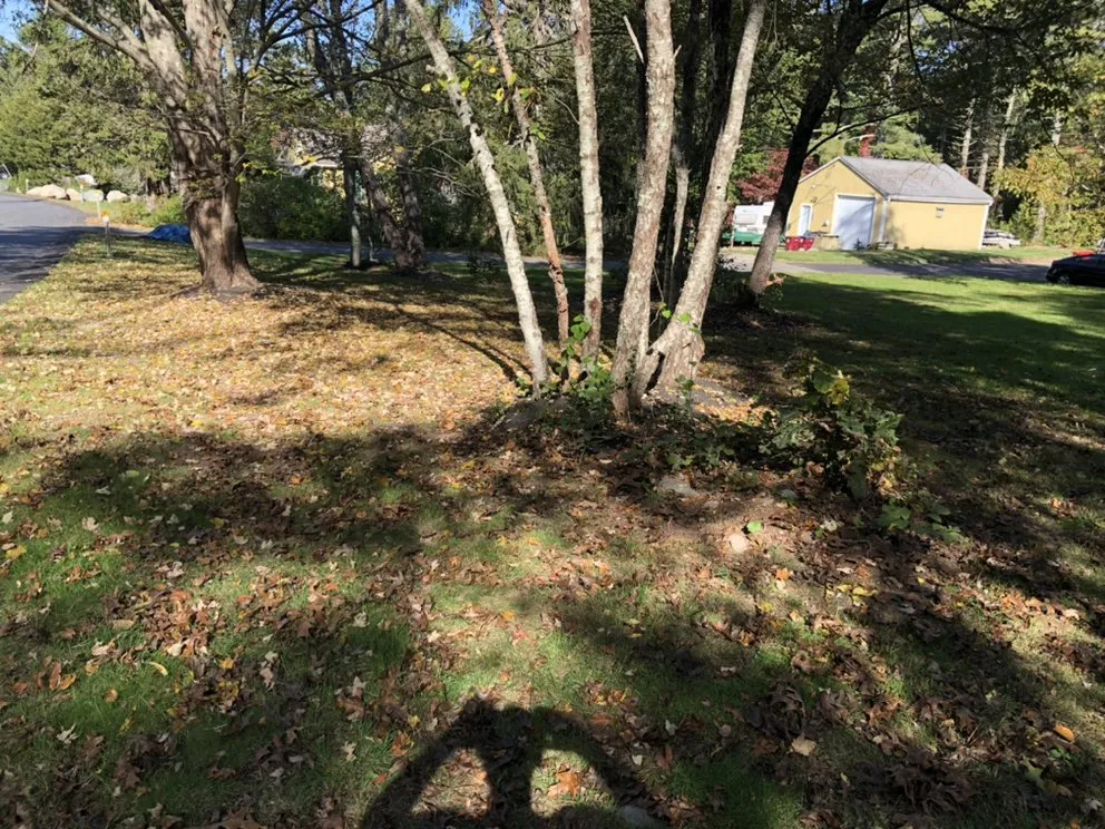 Custom lawn mowing service experts serving Taunton, MA - Legend Landscaping