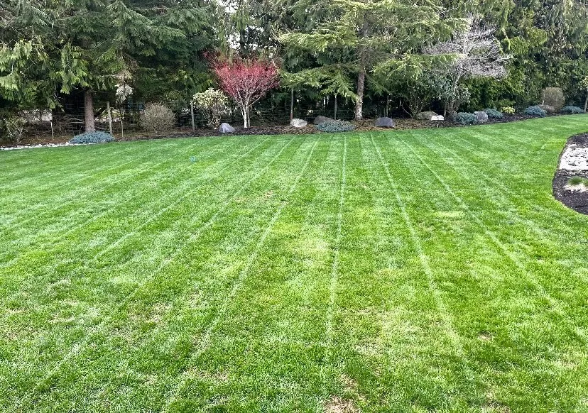 Reliable yard cleanup service for homes in Vancouver, WA by Legend Landscaping
