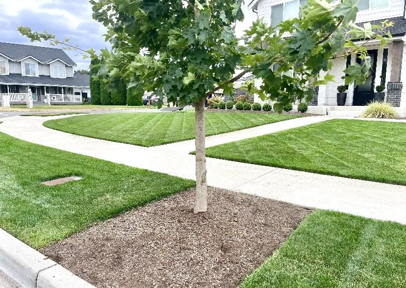 Affordable garden landscaping near you in Vancouver, WA by Legend Landscaping