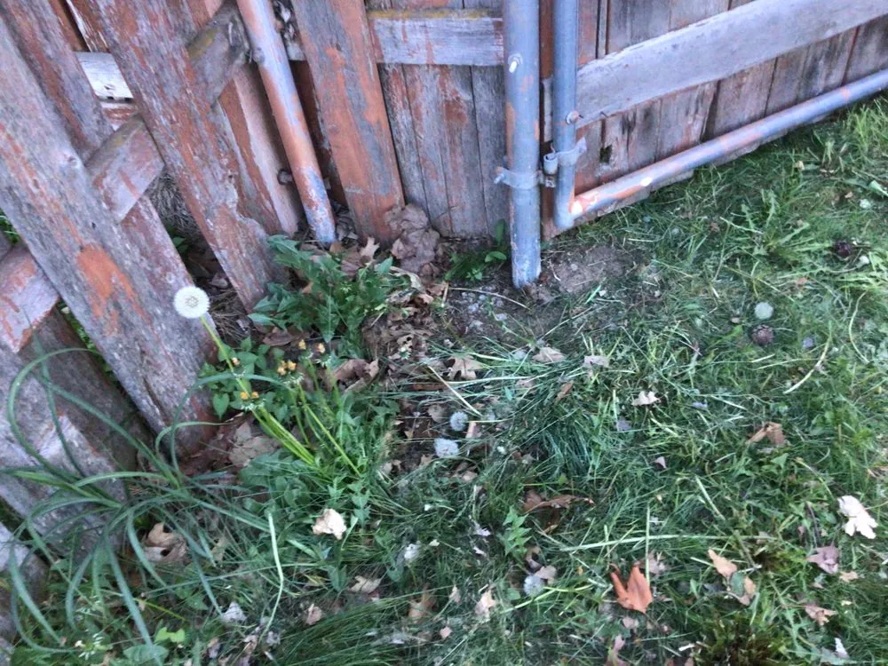 Local residential landscaping for year-round maintenance in Airway Heights, WA by Legend Lawn Care