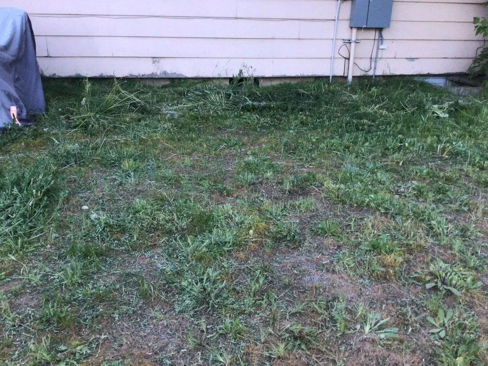 Expert lawn mowing service in Airway Heights, WA by Legend Lawn Care