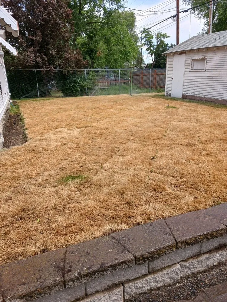 Local yard cleanup service in Airway Heights, WA by Legend Lawn Care