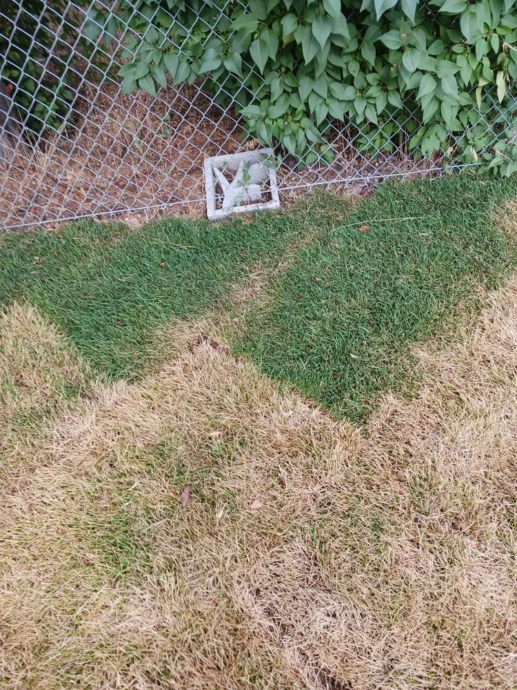 Top-rated landscaping services in Airway Heights, WA by Legend Lawn Care