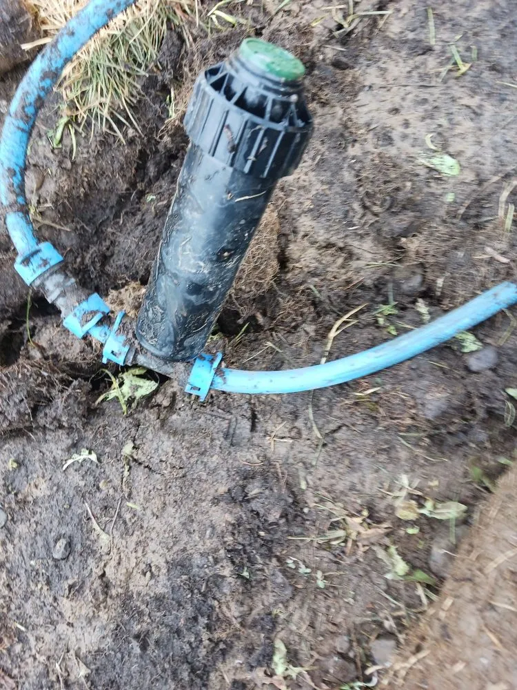 Expert residential landscaping in Airway Heights, WA by Legend Lawn Care