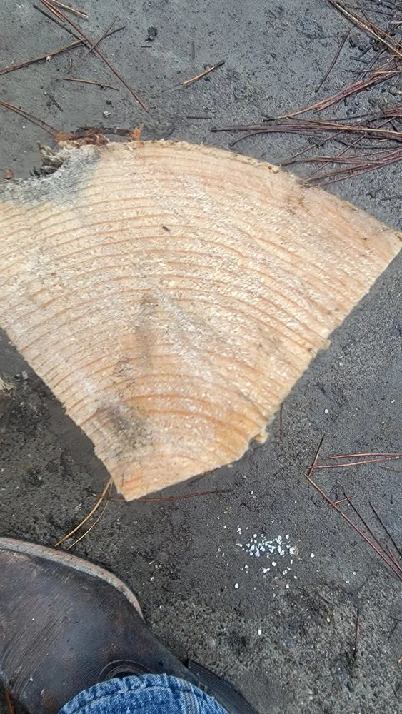 Affordable lawn mowing service in Airway Heights, WA by Legend Lawn Care