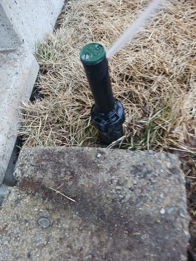 Custom landscaping services experts serving Airway Heights, WA - Legend Lawn Care