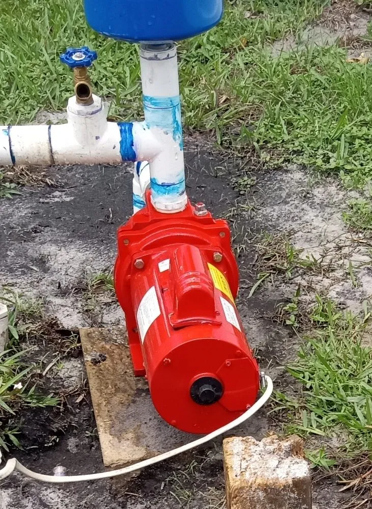 Custom landscape installation with custom design in Jacksonville, FL by Legend Property Services