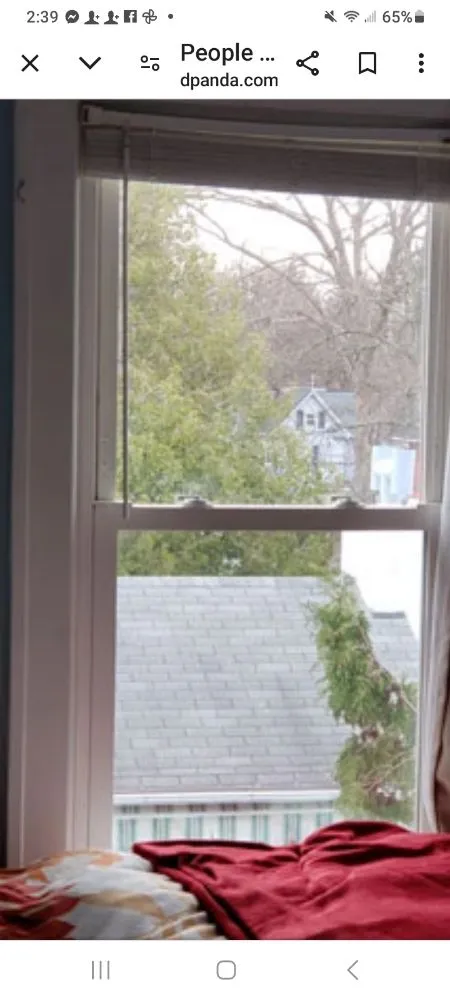 Reliable landscape design in Willis, TX - Legendary Cleaning