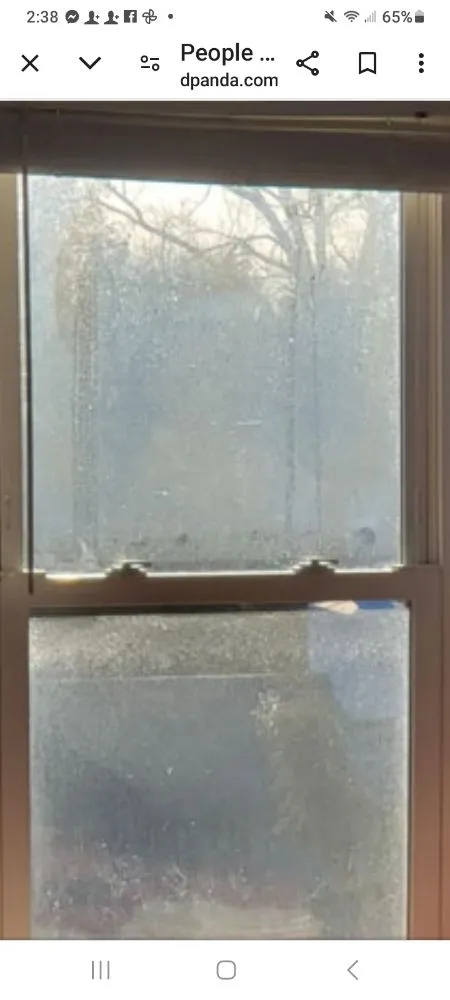 Affordable yard cleanup service experts serving Willis, TX - Legendary Cleaning