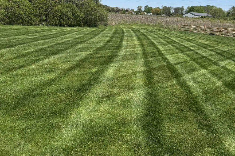 Local yard cleanup service in Toledo, OH - Legendary Landscape and Lawns
