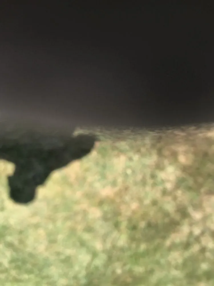 Professional lawn mowing service in Marshall, MO - Legendary Landscape Design