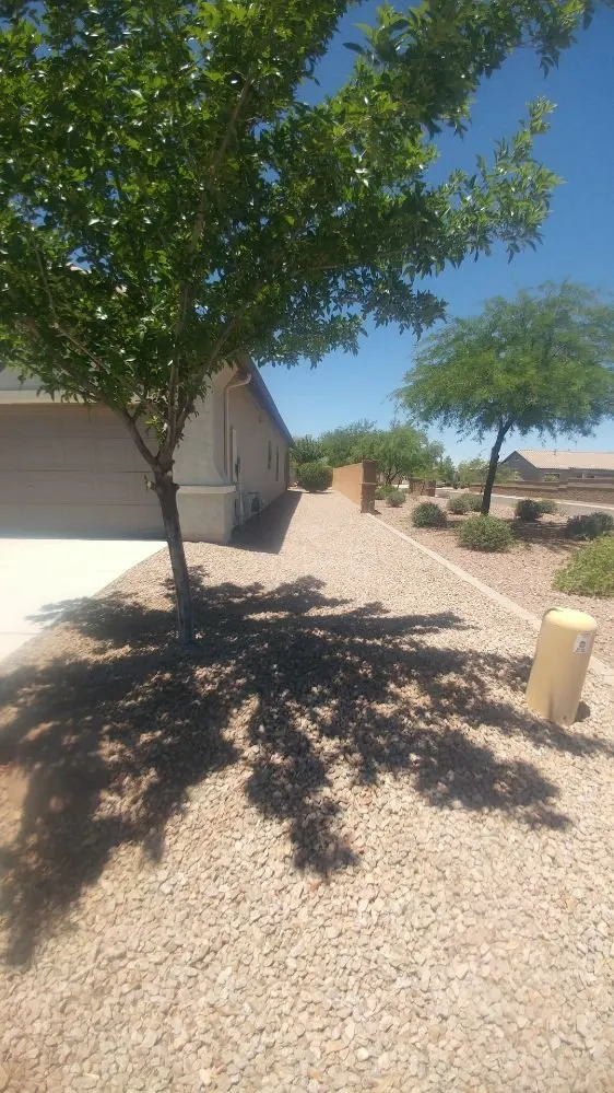 Top-rated landscape installation for beautiful yards in Maricopa, AZ by Legendary Landscape