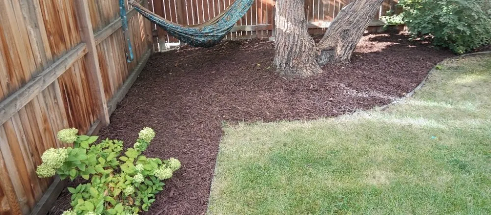 Top-rated lawn care service for residential properties in Denver, CO by Legendary Landscapes