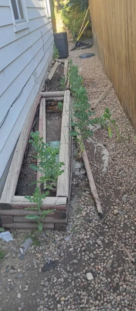 Local landscape design experts serving Denver, CO - Legendary Landscapes