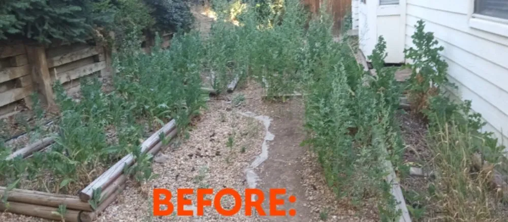 Local landscaping services in Denver, CO - Legendary Landscapes