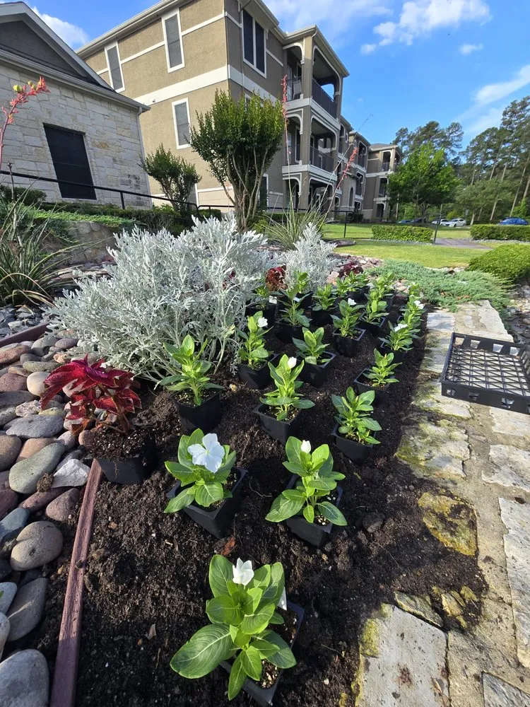 Trusted lawn mowing service experts serving Tyler, TX - Legendary Landscapes