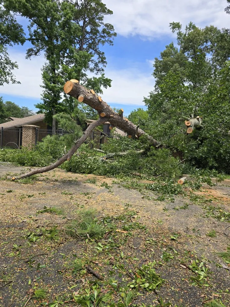 Reliable lawn care service in Tyler, TX - Legendary Landscapes