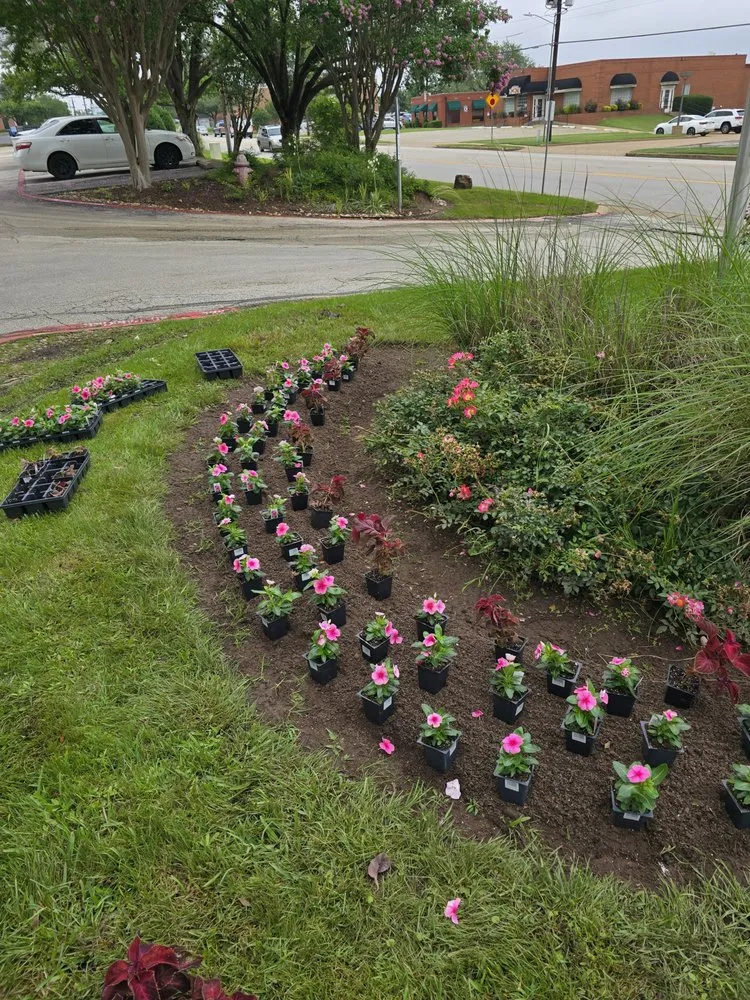 Local yard cleanup service for beautiful yards across Tyler, TX - Legendary Landscapes