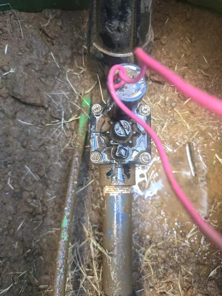 Reliable landscape installation in Tyler, TX by Legendary Landscapes