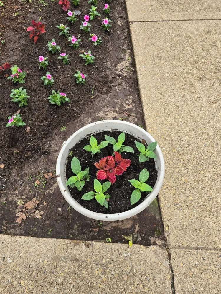 Affordable yard maintenance in Tyler, TX - Legendary Landscapes