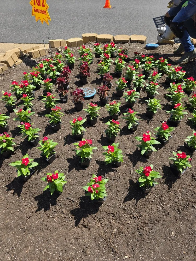 Professional yard maintenance for outdoor upgrades in Tyler, TX by Legendary Landscapes