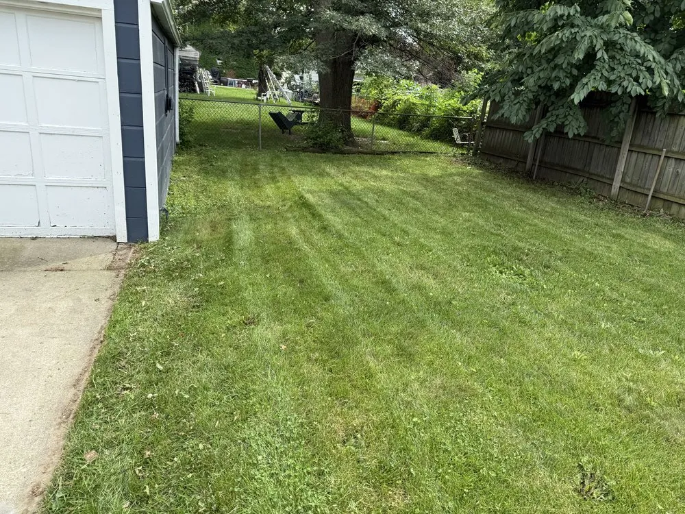 Top-rated lawn care service for residential properties across Chicago, IL - Legendary Landscaping